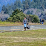 A person is walking on the edge of a road next to grass carrying a bag of trash