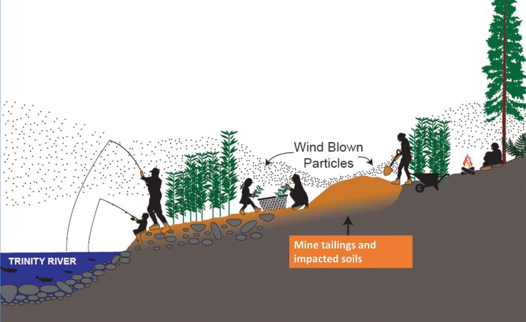 A graphic showing how mine tailings can be blown by the wind and impact people and the soil